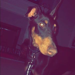 Meet your Posher, Christiana